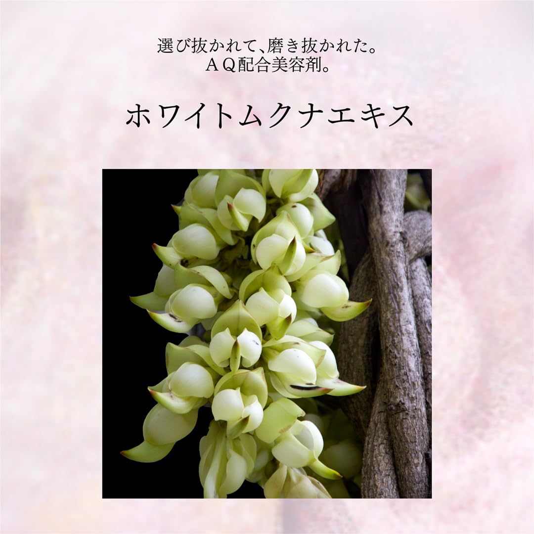Amazon | DECORTÉ(コスメデコルテ) フェイスパウダー AQ オーラ